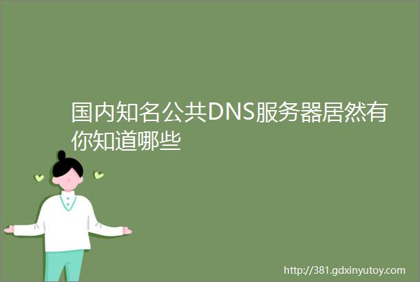 国内知名公共DNS服务器居然有你知道哪些